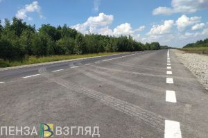 Жители Пензенской области повстречали пятнистого оленя