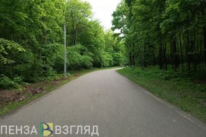 В Пензе подумают над устройством прогулочной аллеи в Шуисте при одном условии