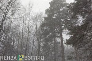 Пензенцы узнали, что снег в России может выпасть в середине октября