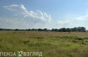 В Пензенской области 27 сентября прогнозируется 23 градуса тепла