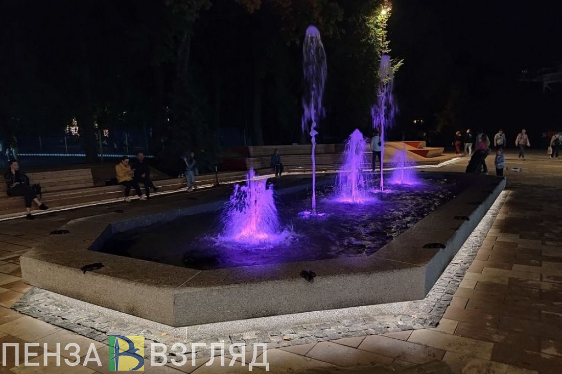 Пензенская область стала первой по выполнению показателей федерального проекта