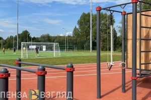 Для пензенских спортсменов-любителей могут появиться официальные чемпионаты