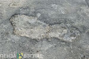 Жители села Неверкино Пензенской области просят отремонтировать мост