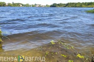 В прокуратуре удивились отсутствию легальных пляжей в Пензе и на Сурском море