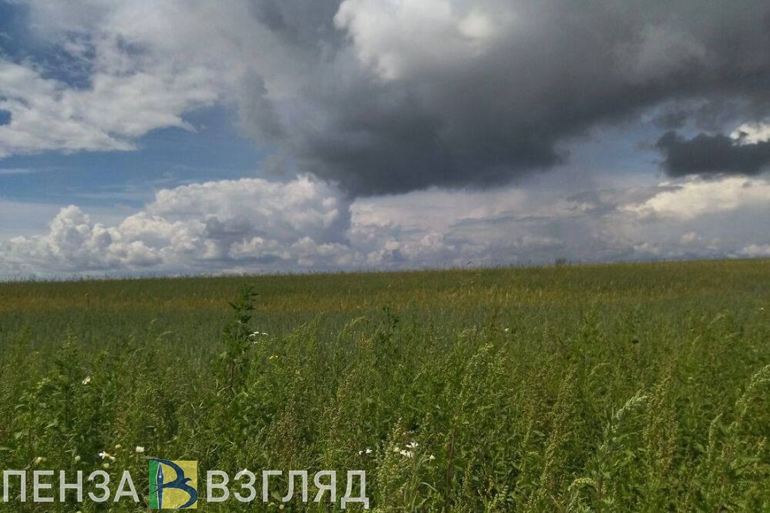 29 сентября в Пензенской области прогнозируют ветер и 23 градуса тепла