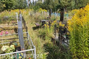 На кладбище в Пензенской области осквернили могилы