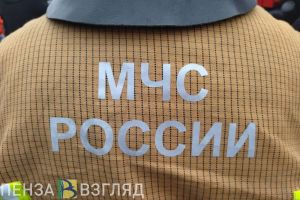 В селе Загоскино Пензенского района сгорело здание