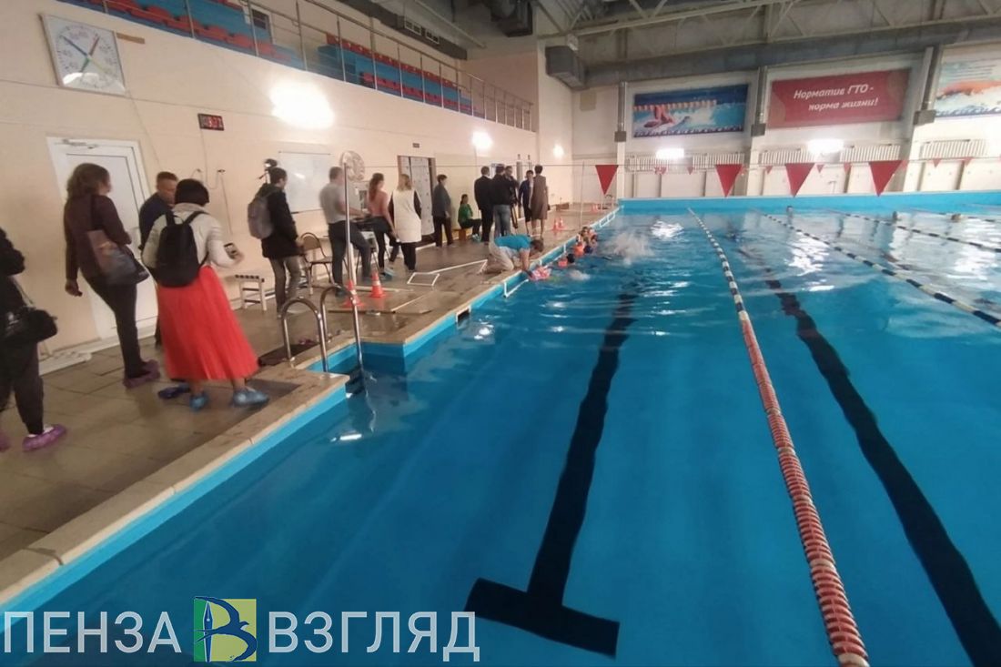 Пензенцам рассказали, как получить абонемент на бесплатное посещение  бассейна