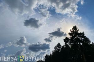 В МЧС пояснили, что делать, когда пензенцы услышат звук сирен