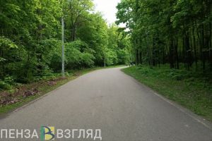 Пензенцев просят воздержаться от прогулок по Олимпийской аллее