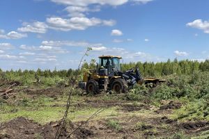 В Пензенской области в оборот вовлекли почти 11 000 га ранее неиспользуемой пашни
