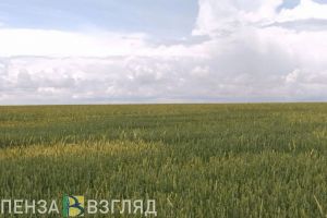 Житель Белинского района побил односельчанина из-за покошенной травы