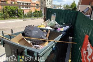 В Пензенской области создают рабочую группу по вопросам обращения с отходами