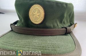 Пензенцы узнали, кто будет передавать данные о гражданах в военкоматы