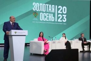 Мишустин отметил Пензенскую область за участие в программе «Профессионалитет»