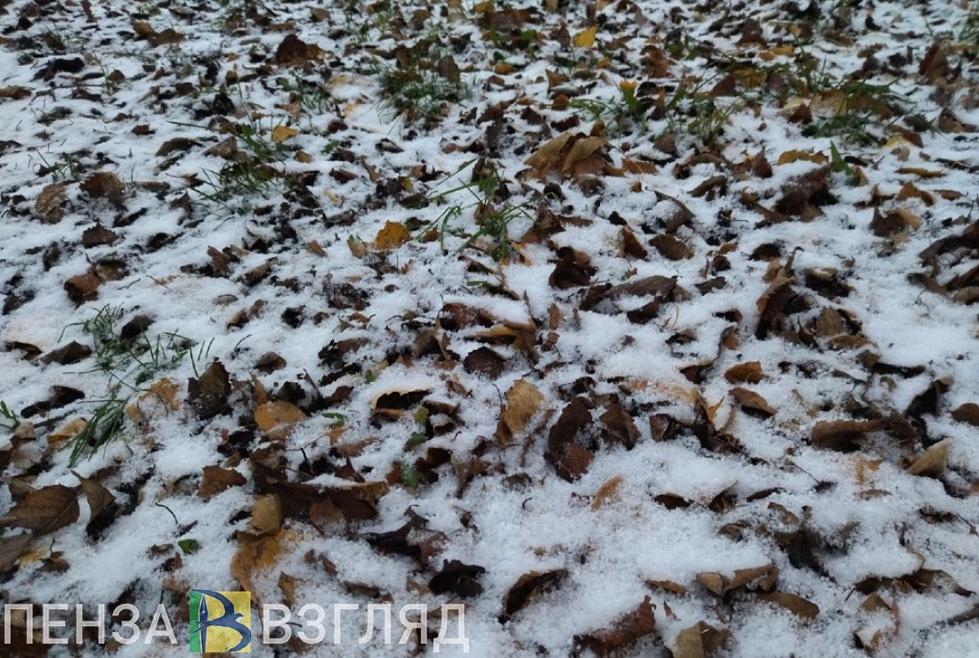 На выходных в Пензенской области ожидается мощный циклон