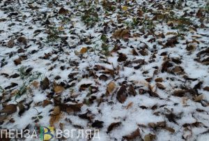 На выходных в Пензенской области ожидается мощный циклон