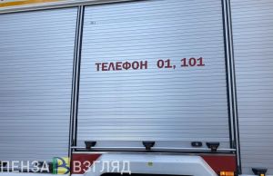 В Пензе из горящей квартиры на улице Суворова спасли мужчину