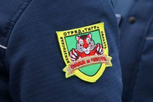 Пензенский отряд «Тигр» посодействовал пресечению 22 преступлений