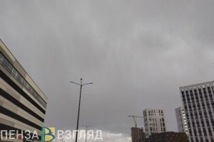 Дождь со снегом прошел в пензенском Арбеково