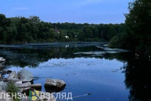 11 октября пензенцев ждет облачная погода без осадков
