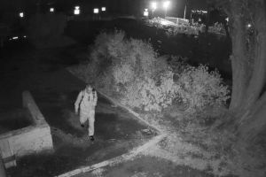В Пензе разыскивают мужчину, пытавшегося насильно вступить с девушкой в интимную связь