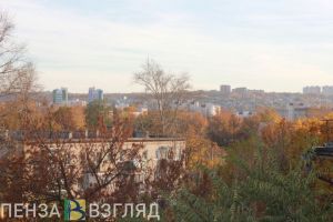 Пензенцев предупреждают о сильных порывах ветра 12 октября