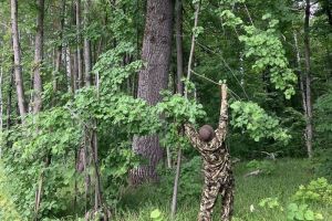 В Кузнецком районе нашли деревья, возраст которых превышает 200 лет