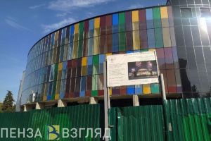 Розыск мужчины, напавшего на жительницу Засечного, обращения по отопительному сезону, вырубка деревьев у цирка – новости Пензы и области за 11 октября