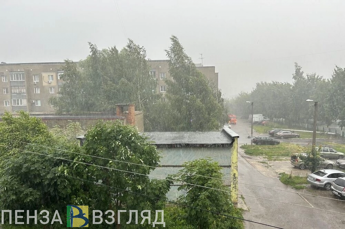 12 октября в Пензенской области прогнозируется дождь и 5 градусов тепла