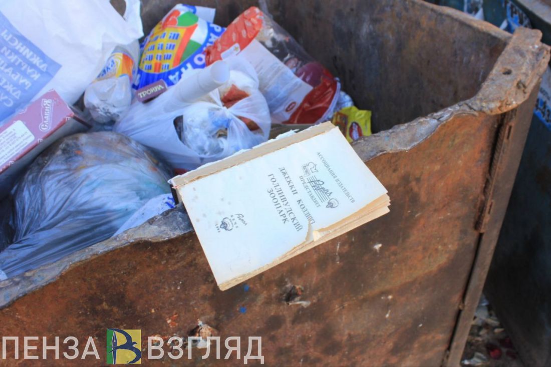 В пензенской Гордуме предлагают ставить камеры возле стихийных свалок