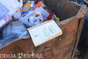 В пензенской Гордуме предлагают ставить камеры возле стихийных свалок