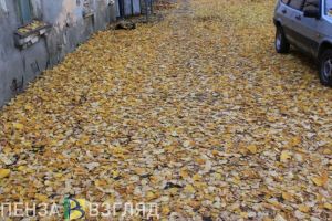 В масштабном субботнике примут участие более 20 тысяч пензенцев