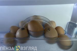 В 2023 году в Пензенской области производство яиц достигло 240 миллионов штук