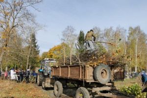 Более 82 тысяч пензенцев поучаствовали в субботнике