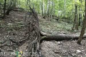 Пензенцам сообщают о штормовом предупреждении