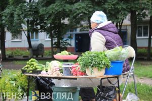 В Пензе администраторов ярмарок выберут в условиях конкурса