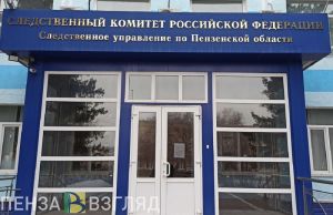 В Пензе СК проводит проверку по факту падения несовершеннолетней с высоты