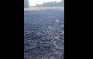 В Пензенской области на площади 400 квадратных метров произошел разлив нефтепродуктов