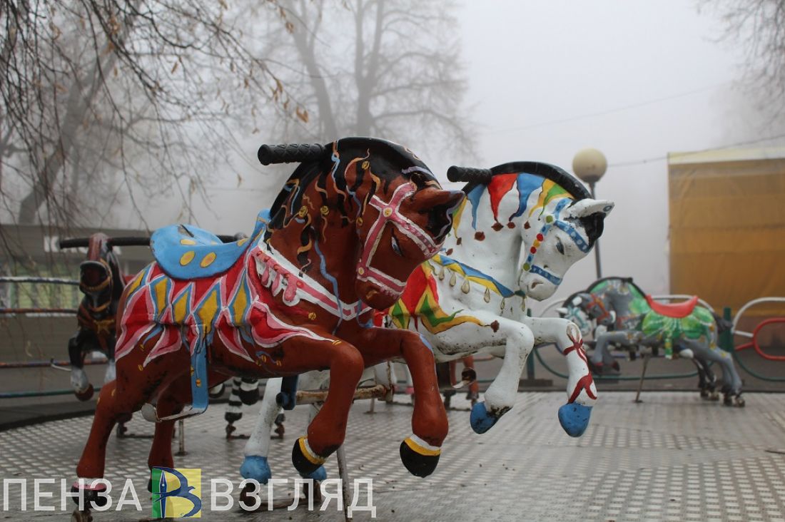 В Пензе предложили предоставить бесплатные развлечения участникам СВО и их  семьям