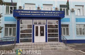 Стало известно, как в Заречном ребенок получил тяжелую травму при катании на карусели