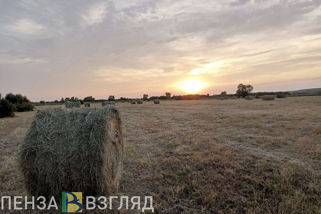 Отпуск пензенских предпенсионеров могут увеличить