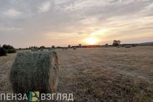 Отпуск пензенских предпенсионеров могут увеличить