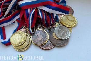 Мельниченко направили благодарность за пензенских самбистов