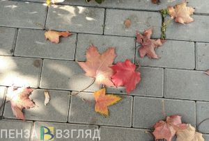 Подписано постановление о продлении месячника по благоустройству в Пензе