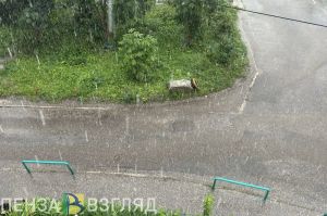 24 октября в Пензенской области прогнозируется сильный ветер, снег и дождь
