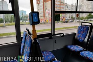За год в Пензенской области выросло число перевезенных пассажиров
