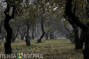 25 октября пензенцев ждет минусовая температура