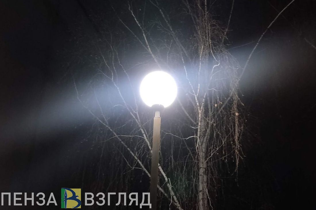 Пензенские власти рассказали, когда осветят темную и опасную дорогу в Заре