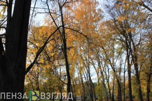 В Неверкинском районе благоустройство территории возле ДК задержали на месяц